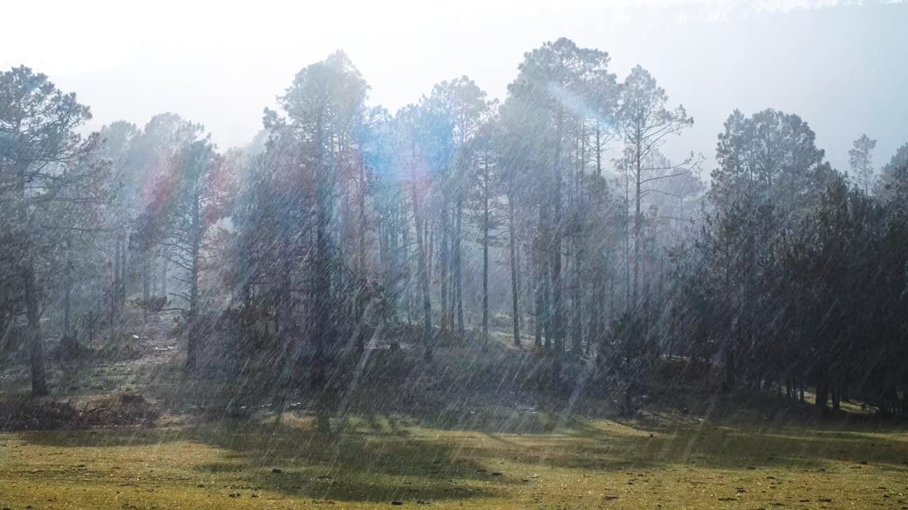 소나기가 눈앞에 쏟아진다.