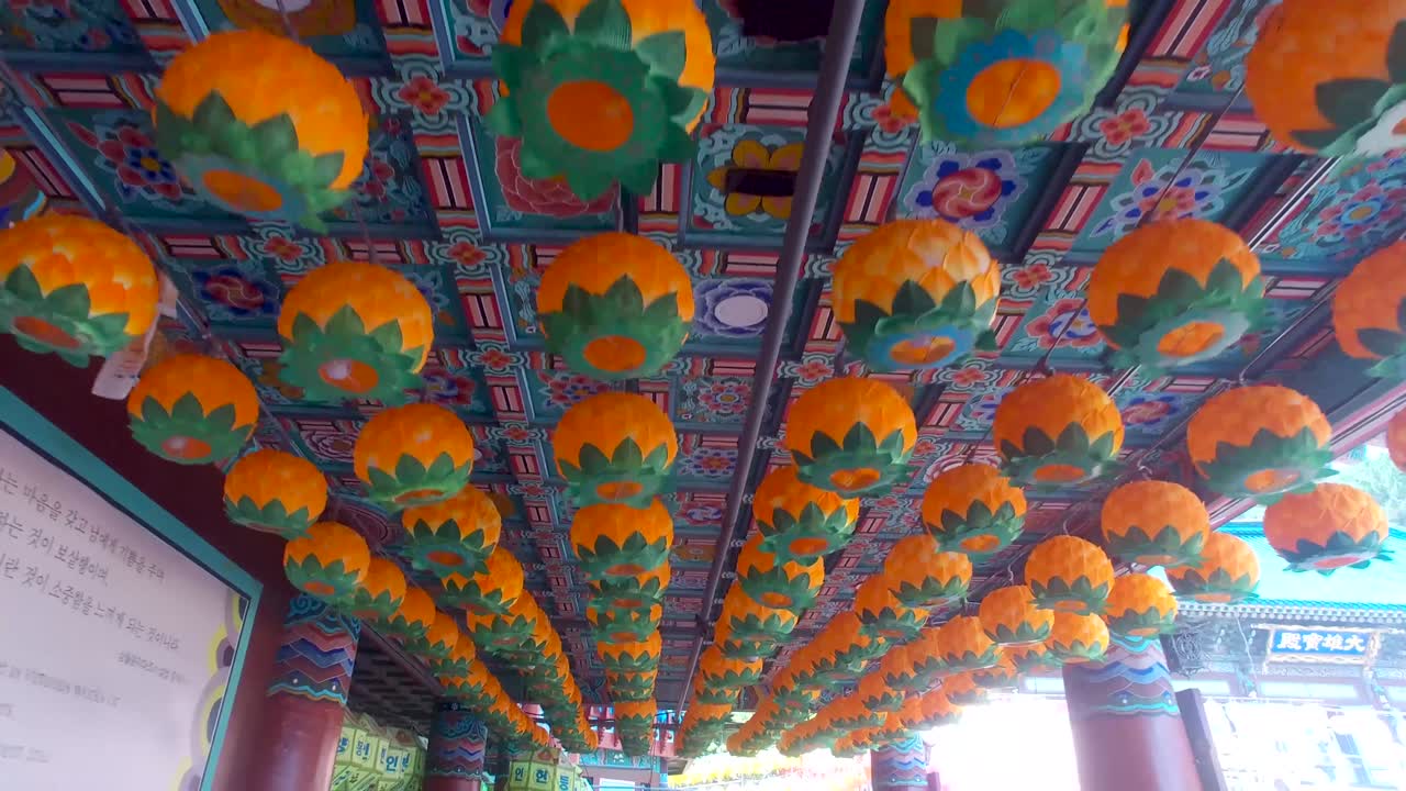 아시아의 부산, 남한의 그사 사원에서 열리는 롯데 등불 축제