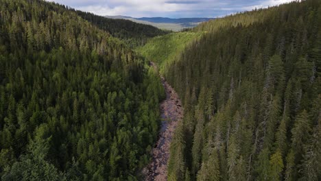 flying over dry river and valley in southern norway