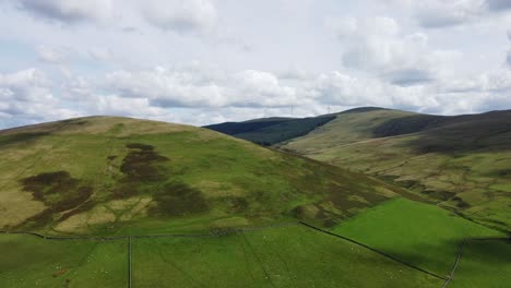green hills with wind turbines in background on sunny day