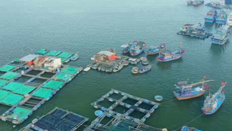 Drone-view-of-fish-farms-on-Nha-Trang-river,-with-boats-are-nailing-and-fishing-net,-fish-cages