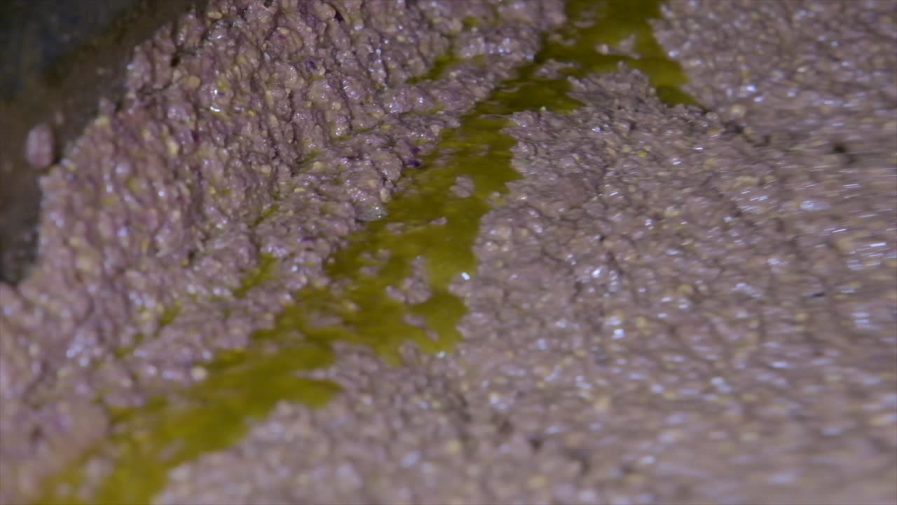 생산 시설에서 올리브 오일 생산의 이미지