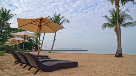 empty-beach-chair-with-palm-tree-on-beach-with-sea-background