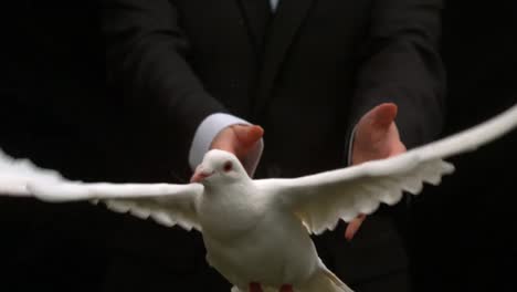 Groom-releasing-a-dove-on-black-background