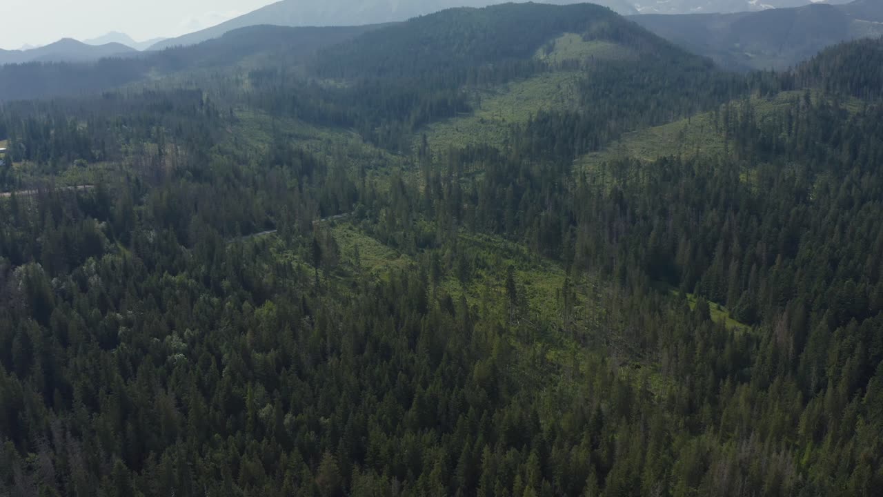 Aerial View Of Forested Tatra Mountains Near Rural Villages In Cyrhla, Podhale Region, Poland