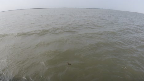 North East's india largest river Bammaputra motion video from inside the ship