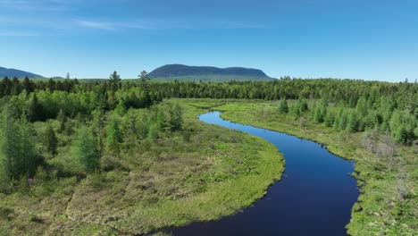 Spektakuläre-Luftaufnahme-Eines-Flusses,-Der-Sich-Durch-üppige-Wildnis-Schlängelt