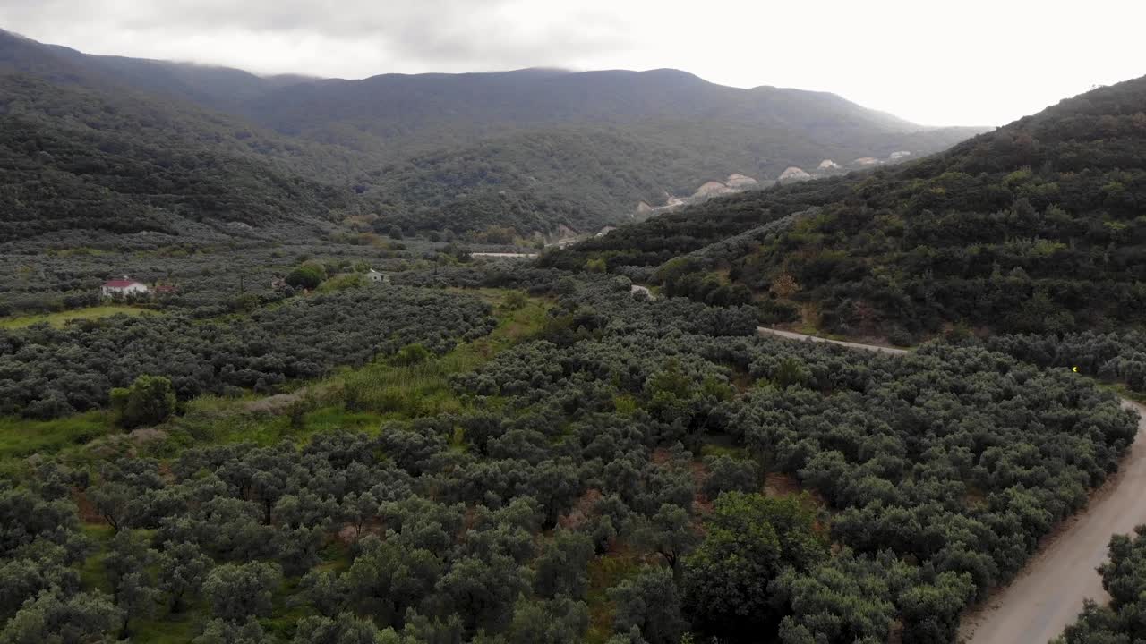 회색 흐린 날, 터키에 매혹적이고 아름다운 산과 숲 전망의 공중 전방 비행