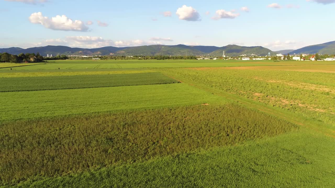 Ascending over German agricultural field with mountains in background and cumulus clouds in the beautiful blue sky
