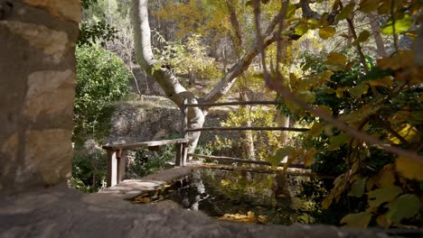 Stone-ditch-water-pond-in-Mediterranean-forest-with-yellow-autumn-leaves