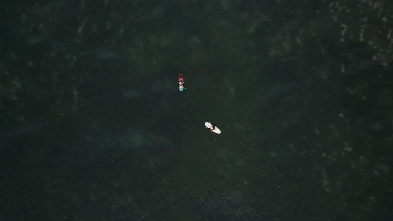 서퍼들이 파도를 기다리고 있다