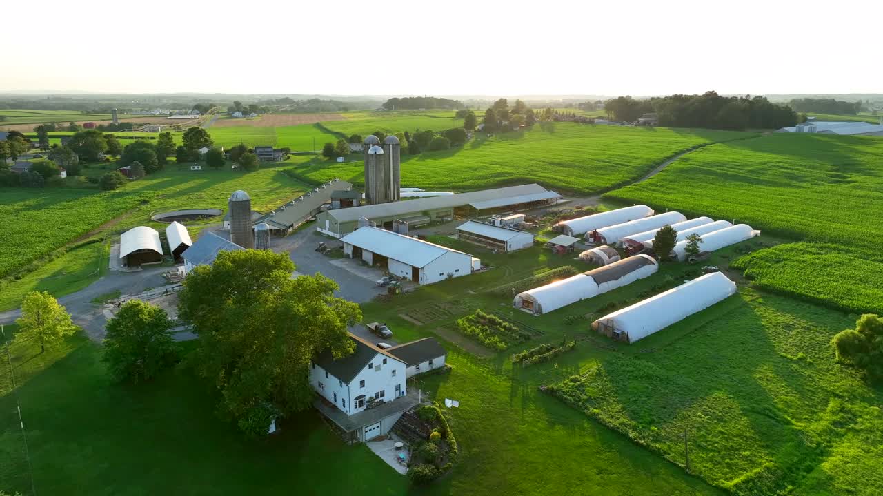Orbita aerea alta di edifici agricoli, fienili a serra e silos.