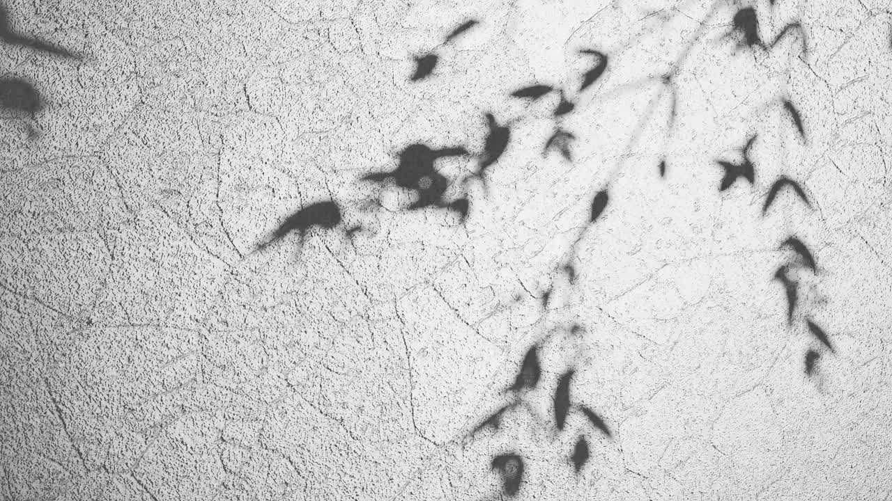 색 질감 표면에 있는 자연의 그림자