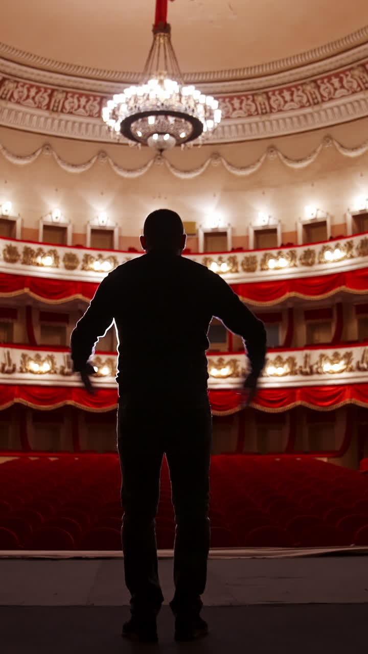 Back view of actor on stage. Man practicing speech with gestures in empty auditorium with red chairs. Performer is reheases in theater. Vertical video