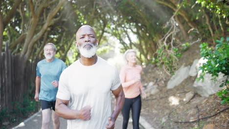 older adults enjoying a run on a scenic trail