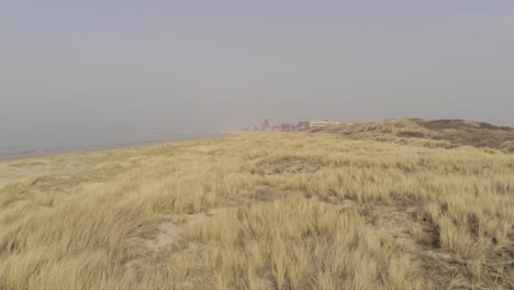 sand dunes with grass at nature reserve near coastline of oostduinkerke village in town of koksijde, belgium