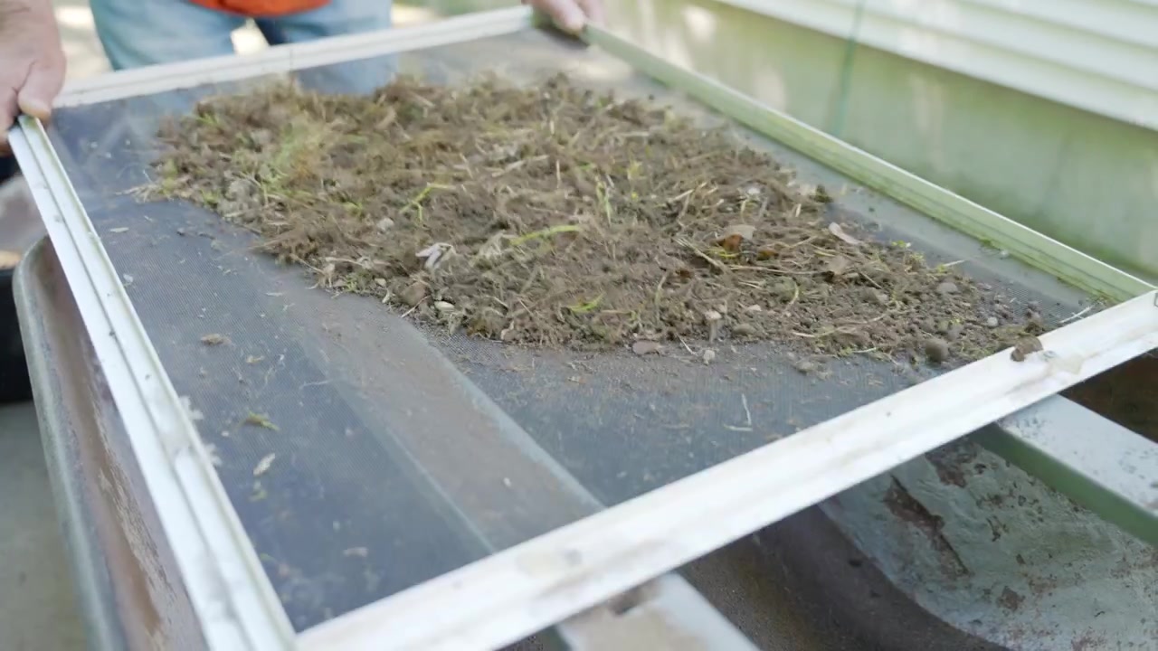 Male hands sifting soil and compost through a screen sieve to remove debris for gardening
