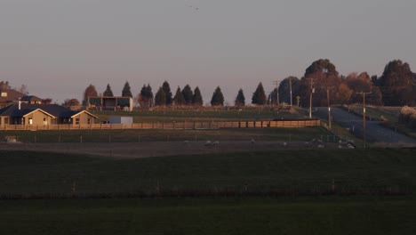 Sonnenuntergang-Auf-Dem-Feld-In-Neuseeland-Mit-Rauch,-Der-Aus-Dem-Familienhäuschen-Kommt