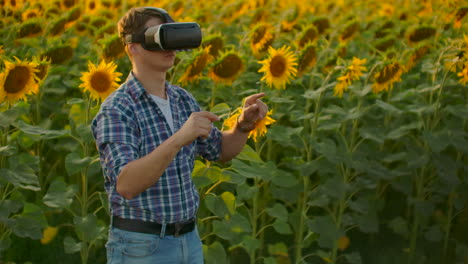 El-Niño-Está-Trabajando-Con-Gafas-Vr.-él-Está-Involucrado-En-El-Proceso-De-Trabajo.-Es-Un-Hermoso-Día-Soleado-En-El-Campo-De-Girasoles.