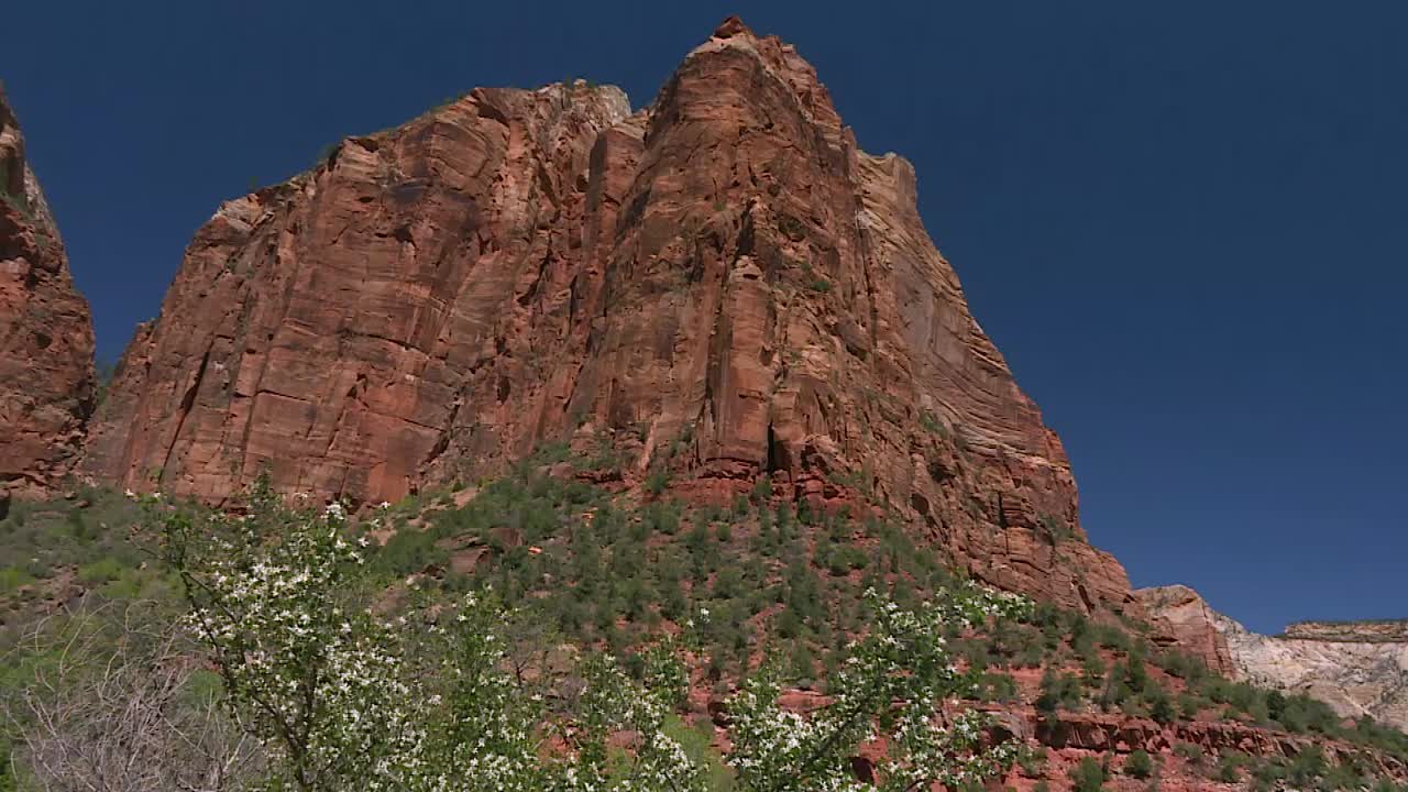 자이언 국립 공원의 사막 풍경에 있는 거대한 붉은 암석