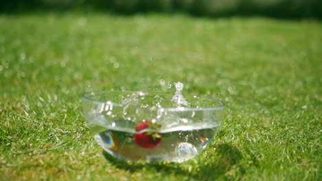 strawberry splash in super slow motion