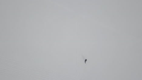 following a person snowshoeing on a frozen lake