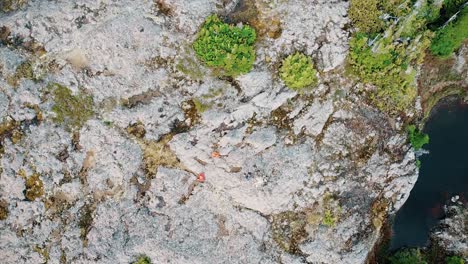 Aerial-Top-Down-of-Vancouver-Island-Mountains,-Minnas-Ridge