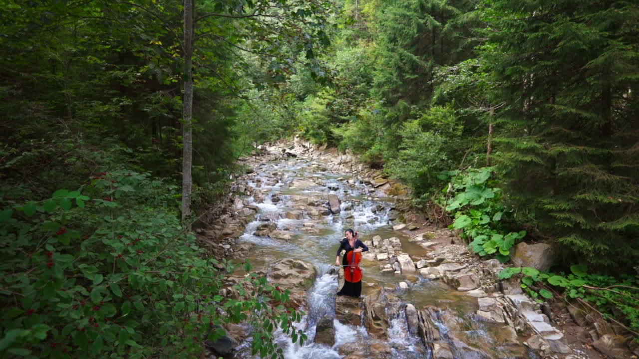 Young cellist among amazing nature. Woman playing the cello while standing in the beautiful shallow river in the green forest. View from above.