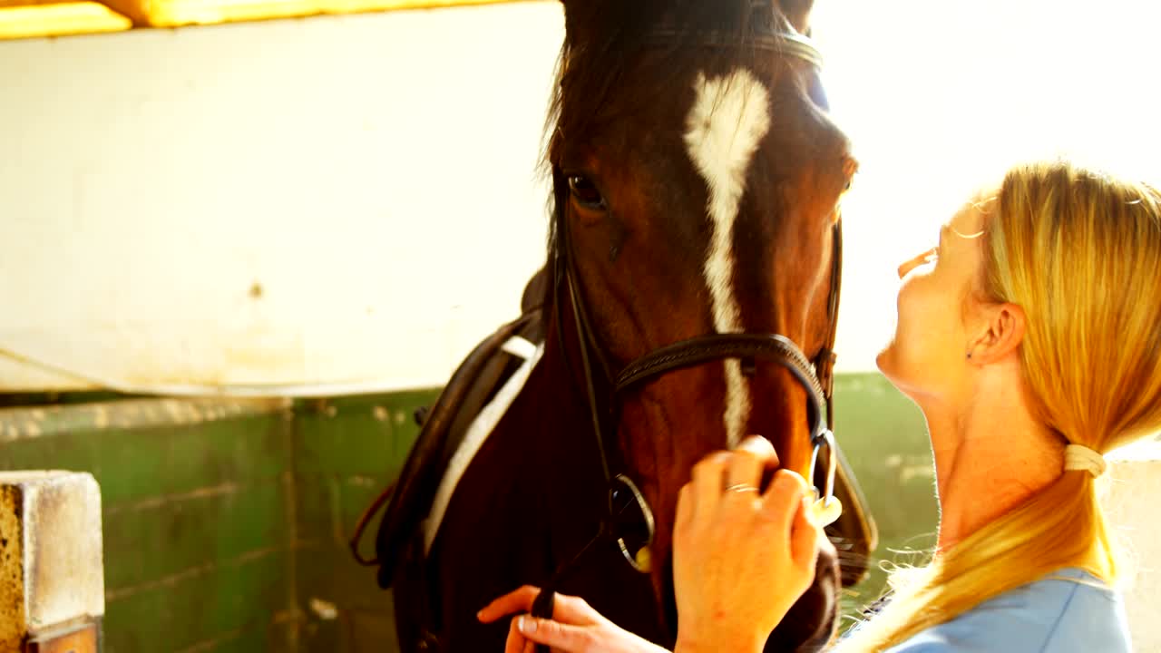 el veterinario acaricia al caballo 4k