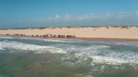 Montando-Caballos-En-La-Orilla-Del-Océano,-Panorámica-Aérea-A-La-Izquierda-Y-Orbitando-Un-Gran-Grupo-De-Jinetes-En-La-Playa-En-La-Isla-Del-Padre-Sur,-Texas-Con-Un-Dron-De-4k