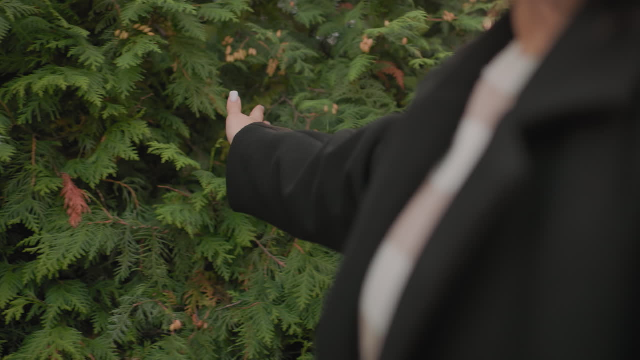 긴 코트를 입은 여성 여행자가 가을 단풍 위로 손가락을 미끄러지듯 움직이는 모습이에요. 초록색 울타리 옆에서 잔잔한 공원 산책을 하는 동안 나뭇가지를 따라 부드럽게 손길이 움직이는 클로즈업 모션으로, 평온한 야외 순간을 담았습니다.