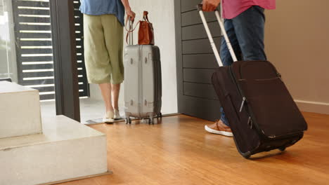 carrying suitcases, multiracial senior couple entering home, ready for travel or return