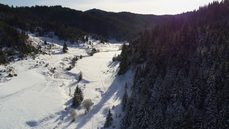 Antenne:-Fliegen-über-Einem-Bergigen-Gebiet,-Das-Mit-Schnee-Und-Wäldern-Bedeckt-Ist