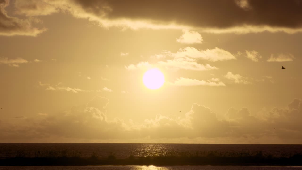 puesta de sol cálida y tropical en la playa con siluetas de pájaros volando