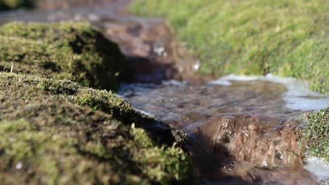 Pan-of-bubbling-brook