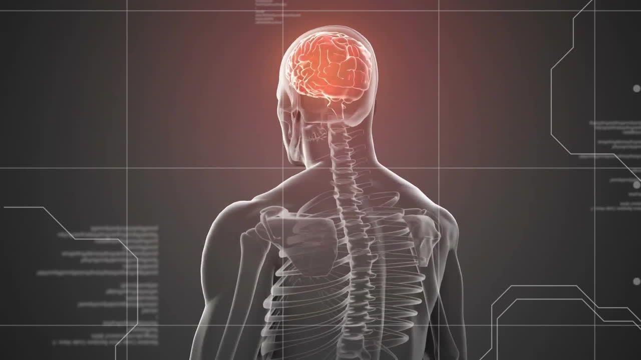 animación de procesamiento de datos sobre modelo humano digital con cerebro en fondo negro