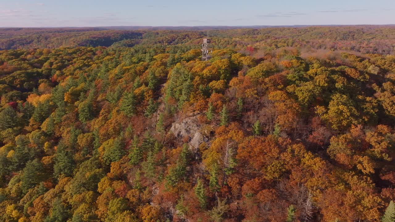 Dorset lookout tower surrounded by autumn forest in ontario, canada, aerial view