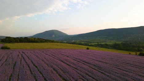 多彩的夏季風景,有開花的花<unk>田,綠色草原和森林覆蓋的山坡