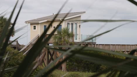 Palme-Im-Vordergrund-Mit-Perfekter-Strandhütte