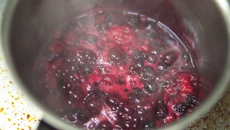 cerca de bayas rojas, moras y arándanos que se cocinan a cámara lenta en una olla