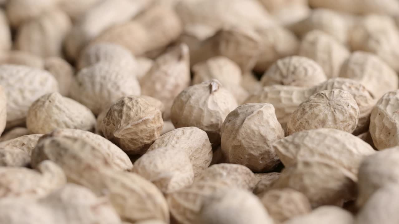 질 을 가진 원시 땅콩 의 회전 어리