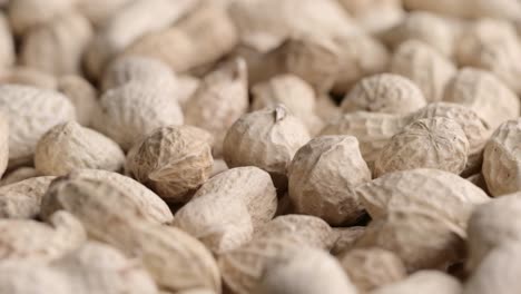 pila giratoria de cacahuetes crudos con conchas