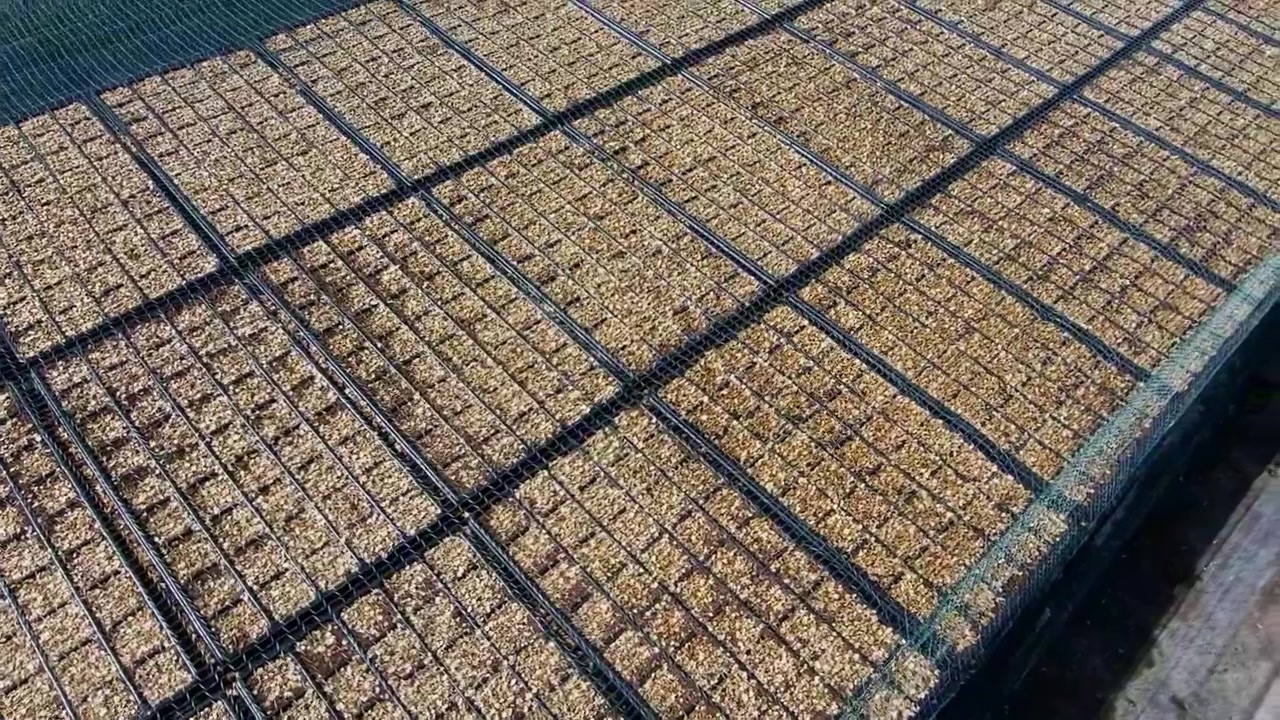 Seedbed within a nursery. Trays prepared for seedling germination inside a greenhouse. Spain.