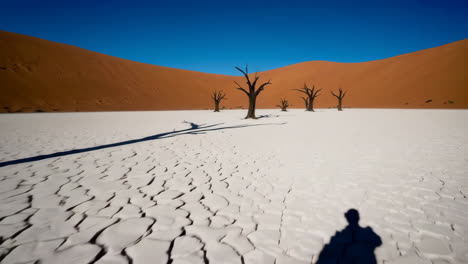 exploring the iconic deadvlei: dead trees and cracked earth in the namib desert