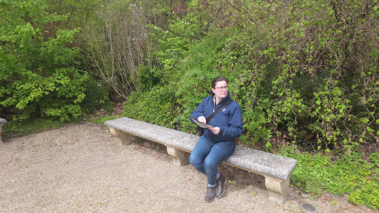 Una donna su una panchina in un parco, circondata da verde e cespugli, che legge un giornale, poi lo piega e si guarda intorno.