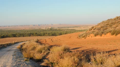 Camino-De-Tierra-Aislado-A-Lo-Largo-De-Montañas-Con-Exuberantes-Vegetaciones-En-Segundo-Plano-En-El-Campo-De-Aragón-En-España