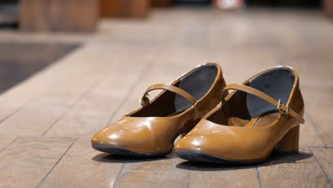 pair of brown women's shoes on wooden floor