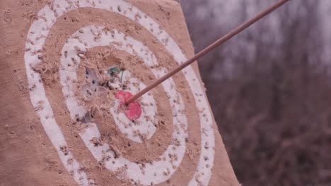 a bow arrow hit the target