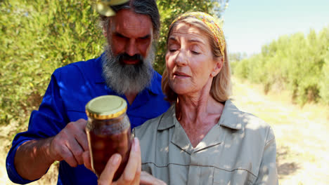 couple examining pickled olive in farm 4k