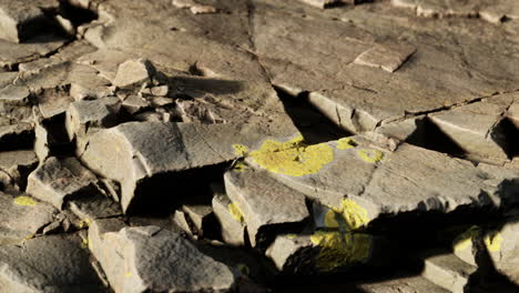 cerca de la formación de piedras rocosas